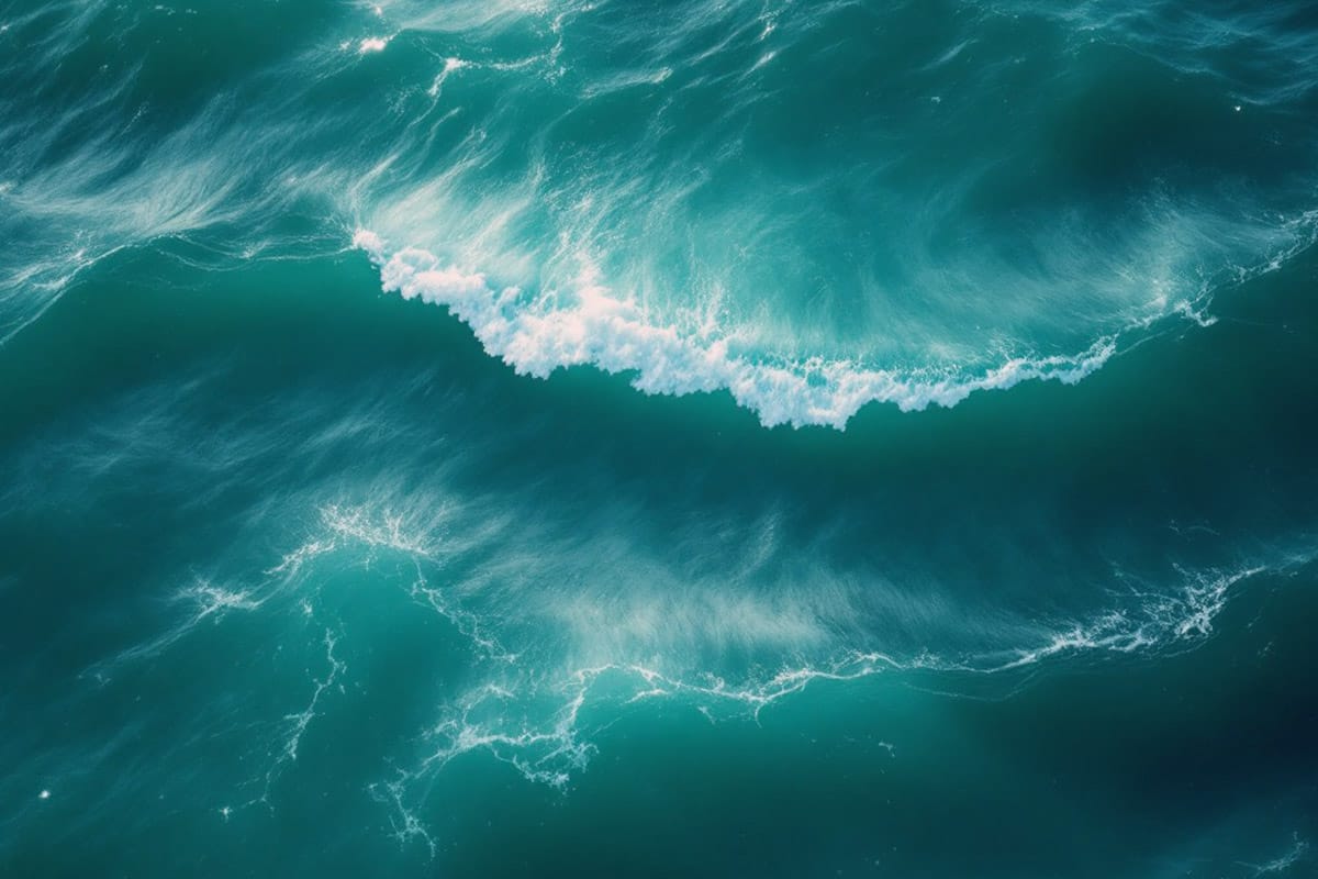 18sixmonth_immersion image representing six-month immersion services